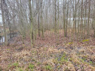 2846 Oak Tree Ln, Williamsburg, OH, 45176
