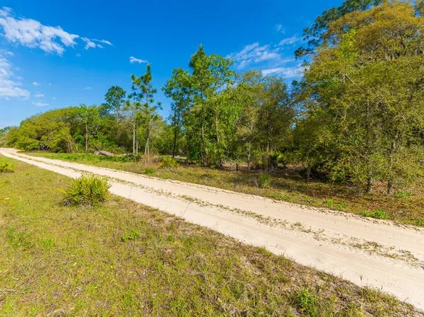 NE 65th St #22, Williston, FL 32696
