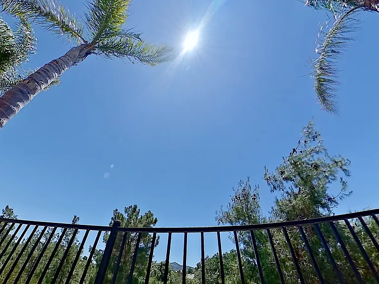 45339 Tiburcio Dr — Photo 38
