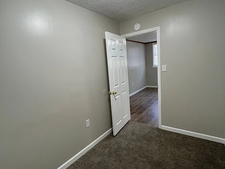 480 Spruce Hollow Rd — Photo 15