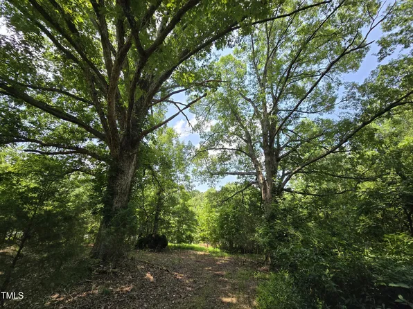 8564 Crutchfield Rd Lot 1, Snow Camp, NC 27349