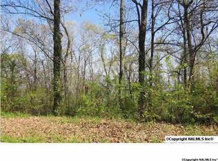 1526 Amber Ln, Guntersville, AL 35976