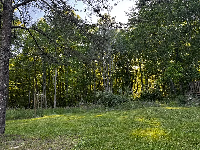 Plain View Lake Dr — Photo 3