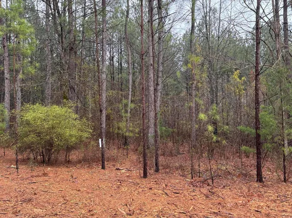 1094 Longleaf Way, Lincolnton, GA