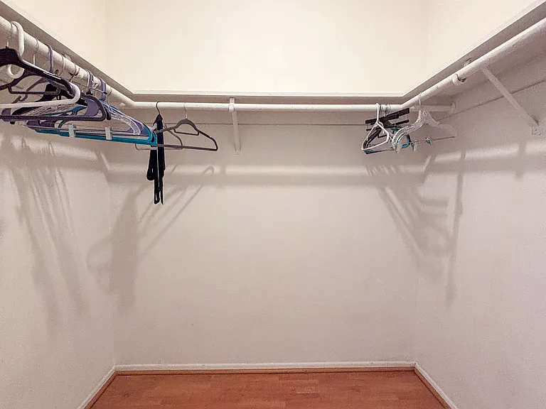 En suite master closet #1
