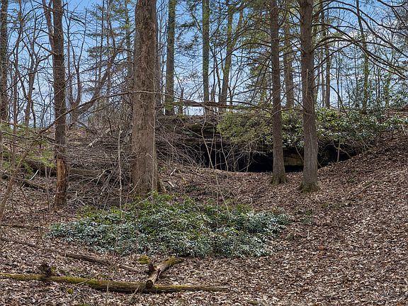 32nd image of this home