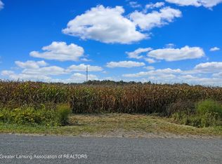 0 N Wellman Rd, Woodland, MI 48897