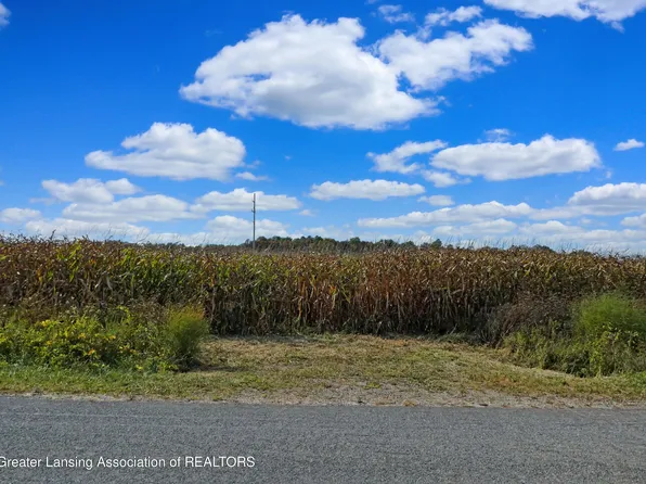 0 N Wellman Rd, Woodland, MI 48897