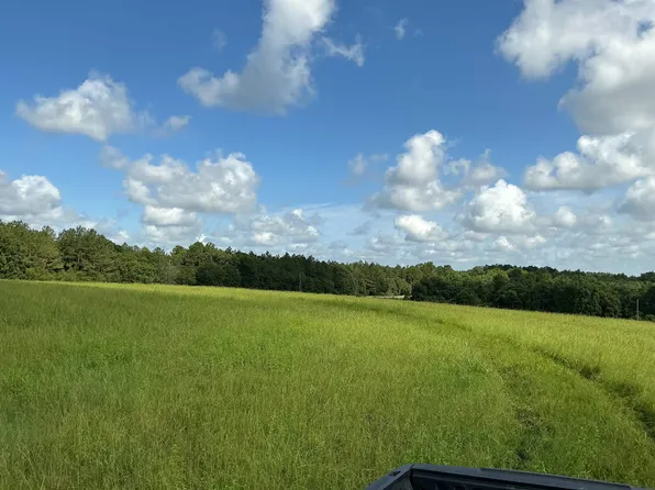 10458 State Highway 55, Florala, AL 36442