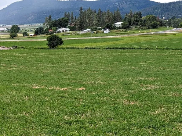 Xx Flowery Trail Rd, Chewelah, WA 99109