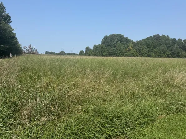 0 Bobbitt Rd, Medina, TN 38355