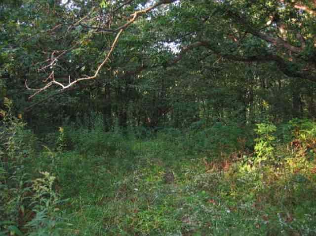 2nd image of 7599 Highway 14