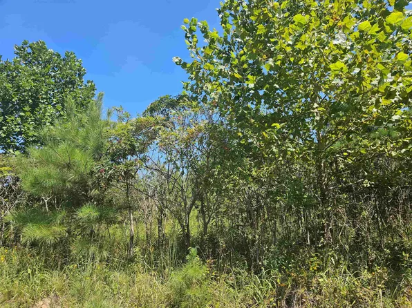 0 Hubanks Rd, Finger, TN 38334