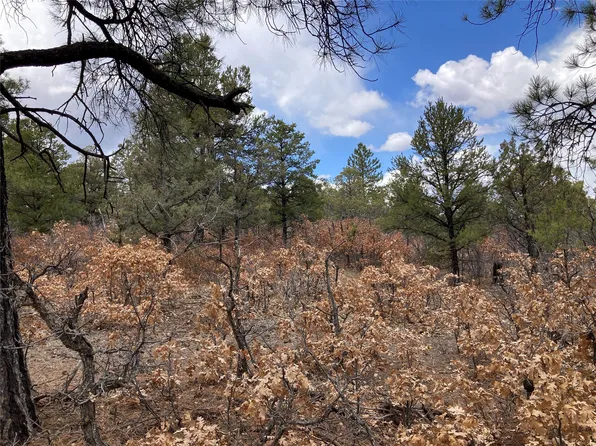 Talavera Ln Unit 4, Tierra Amarilla, NM 87575