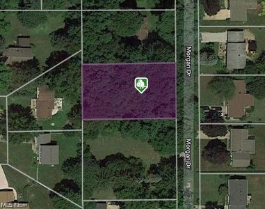 V/l Morgan Dr, Painesville, OH, 44077