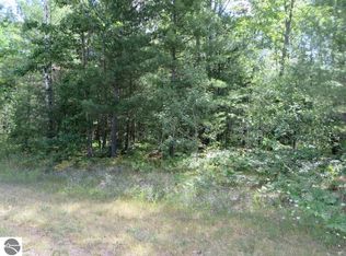 2180 Driftwood Ln NE, Kalkaska, MI 49646