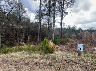 LOT 10 Mountain Laurel Dr, Mineral Bluff, GA 30559