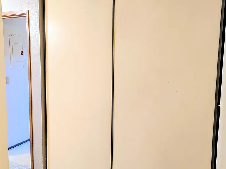 Enormous hall closet near front door