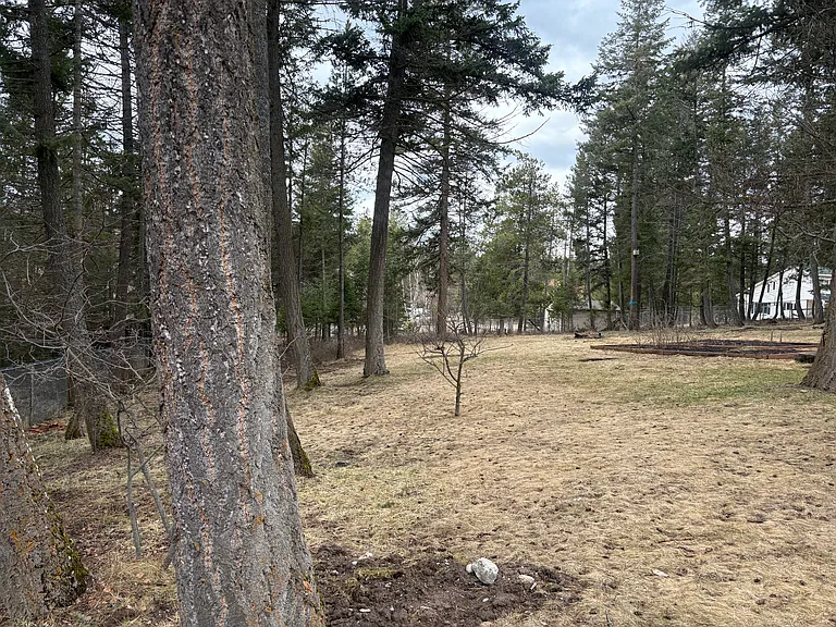108 Mallard Loop — Photo 41