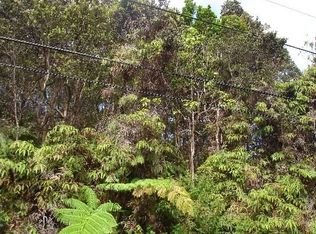 Wright Rd LOT 11-C, Volcano, HI 96785