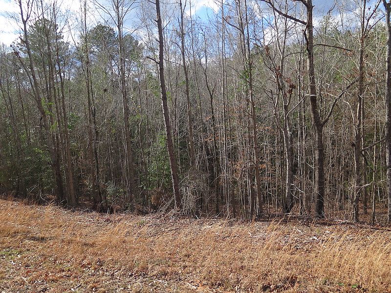 1st image of Off County Rd Lot 5133-WP001
