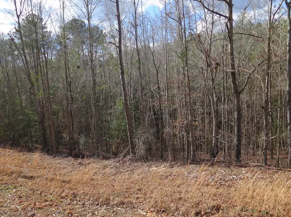 Off County Rd Lot 5133-WP001, Rose Hill, MS 39356