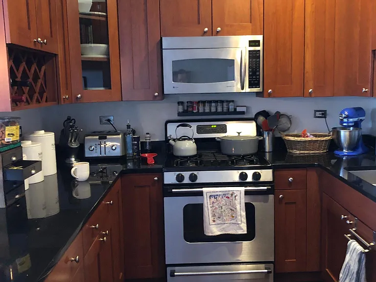1123 W Belmont Ave #3 — Photo 6
