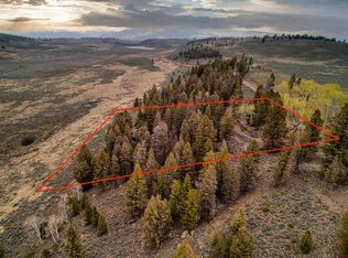 1043 Slumgullion Trl, Powderhorn, CO 81243