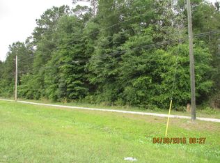 0 State Route 21, Middleburg, FL 32068