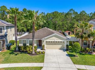 10666 Cabbage Tree Loop, Orlando, FL 32825