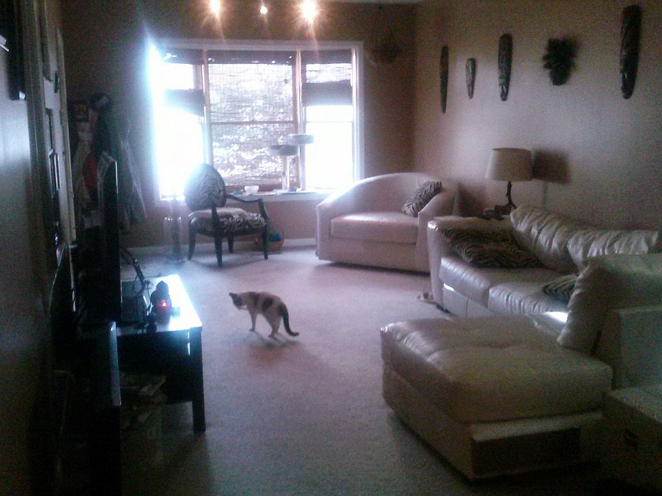 1st image of 160 Prospect Ave #1