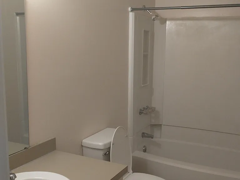 1213 Piney Grove Rd — Photo 11