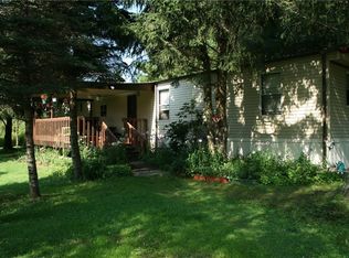 117 Deppa Rd, Swan Lake, NY 12783