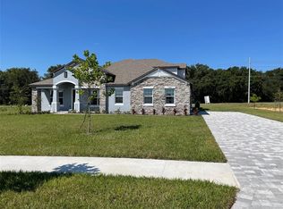 10060 Dolphin Gull Cir, Thonotosassa, FL 33592