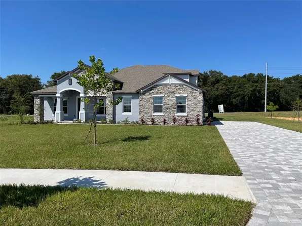 10060 Dolphin Gull Cir, Thonotosassa, FL 33592