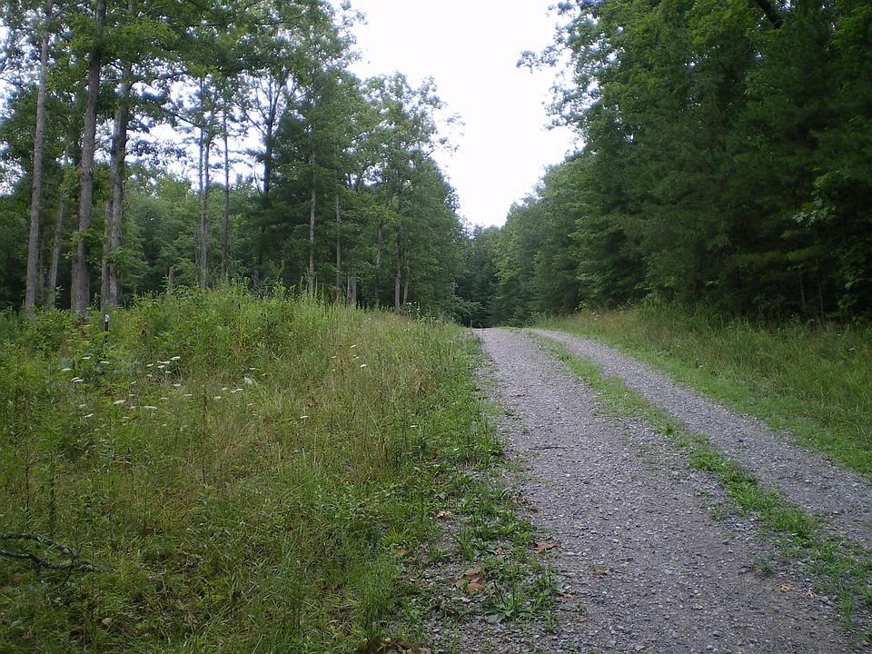 2nd image of Long Branch Rd