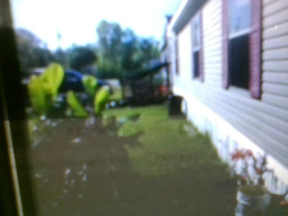 4th image of 203 Utah Ave