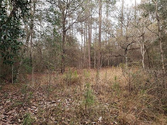2nd image of 23505 Tarpon Springs Dr