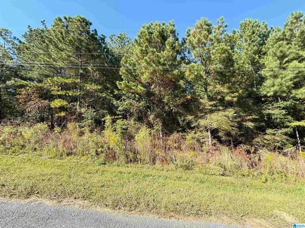 285 Turkey Trail Rd #74, Odenville, AL 35120