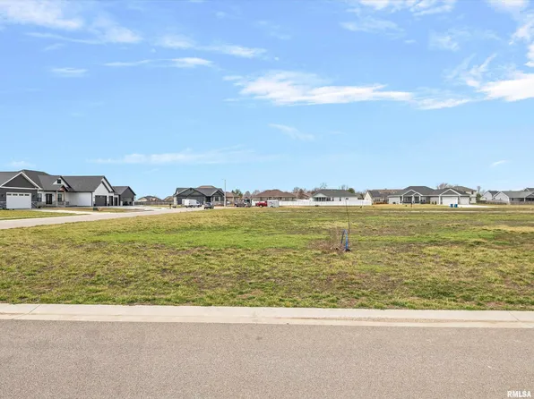 421 Manor Hill Dr, Chatham, IL 62629