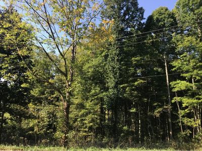 Creek Hill Rd, Saint Paul, VA, 24283