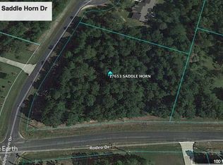 17653 Saddle Horn Dr, Waller, TX 77484