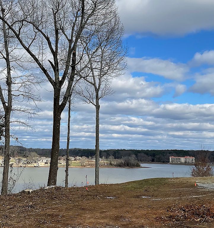 732 Bluff Dr, Rogersville, AL 35652 Zillow