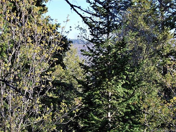 5th image of 245 Matterhorn Dr #Su-m-38