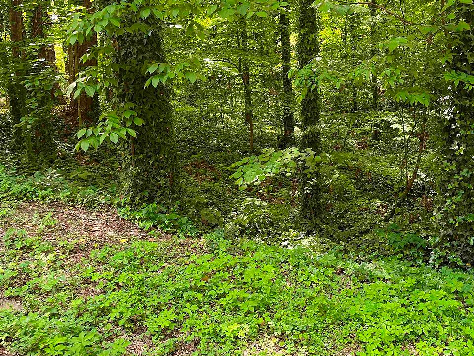 2nd image of LOT 17 Creek Cir