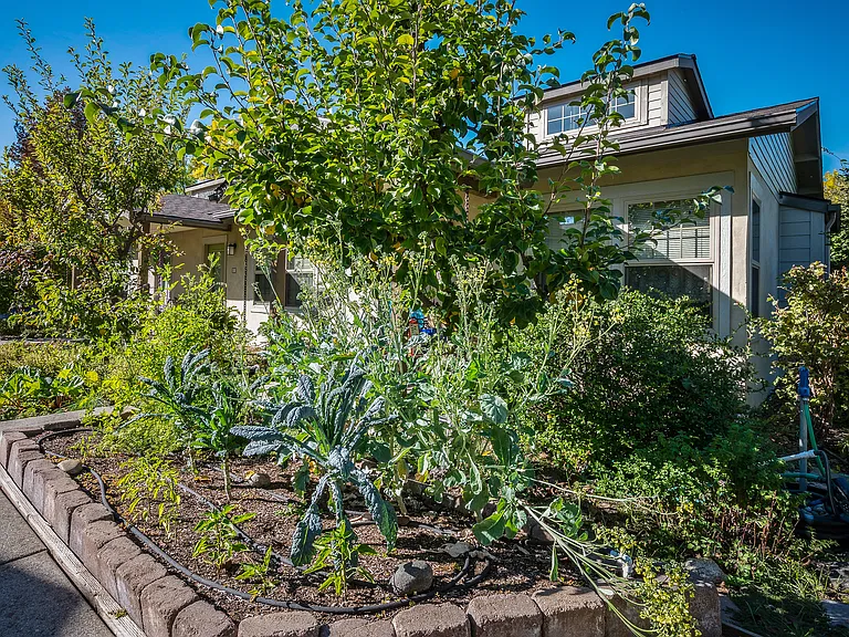 901 Spruce St #D — Photo 16
