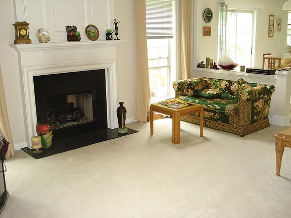living room with fire place