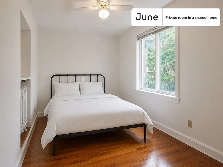 41 Egremont Rd #D — Photo 1