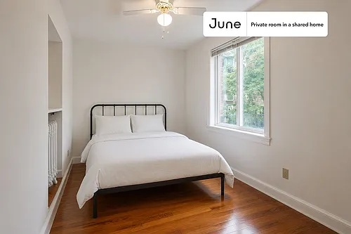 41 Egremont Rd #D Photo 1