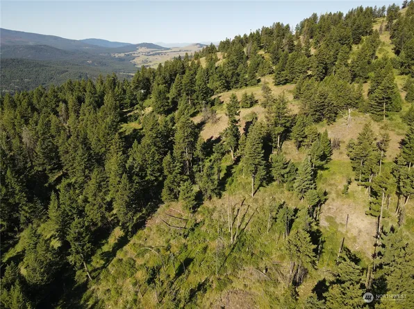 170 TBD Wapato Road, Oroville, WA 98844